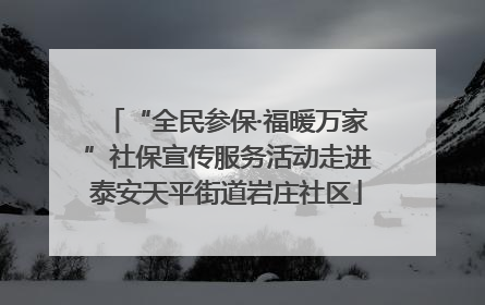 “全民参保·福暖万家”社保宣传服务活动走进泰安天平街道岩庄社区